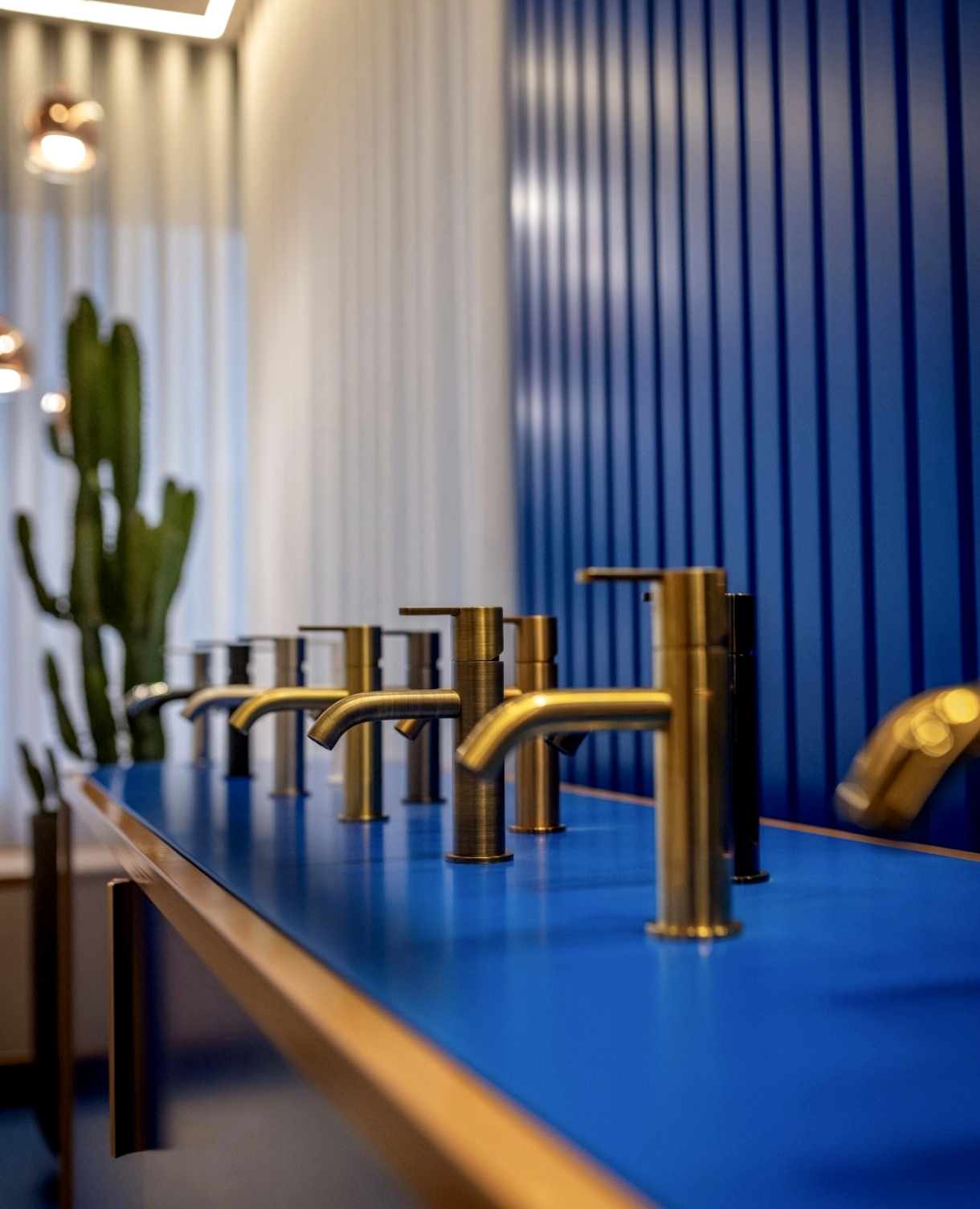 Ditaibcn-GriferiaBruma-1